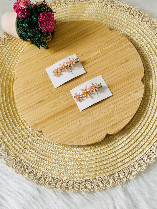 219-Duo de barrettes Charm